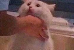 朝阳吃瓜群众一枚,揭秘京城街头巷尾的热辣话题